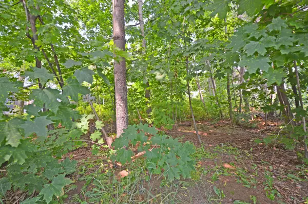 12 Lamothe Avenue, Biddeford, ME 04005