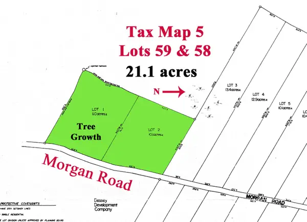 Lots 1 & 2 Morgan Road, Burnham, ME 04848