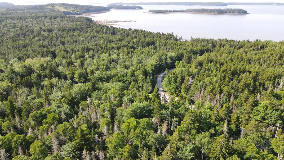 M6L21 Great Cove Road, Roque Bluffs, ME 04654 - #1