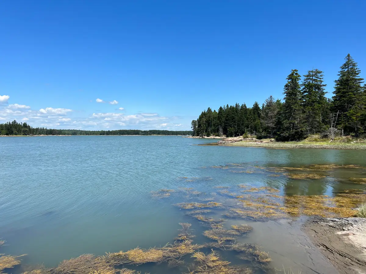 86 Back Shore Road, Steuben, ME 04680 - #1