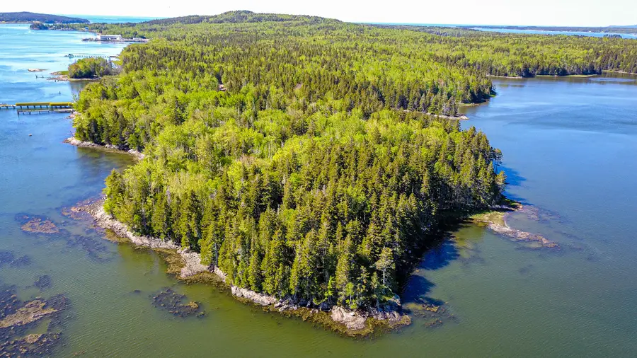 86 Back Shore Road, Steuben, ME 04680 - #2