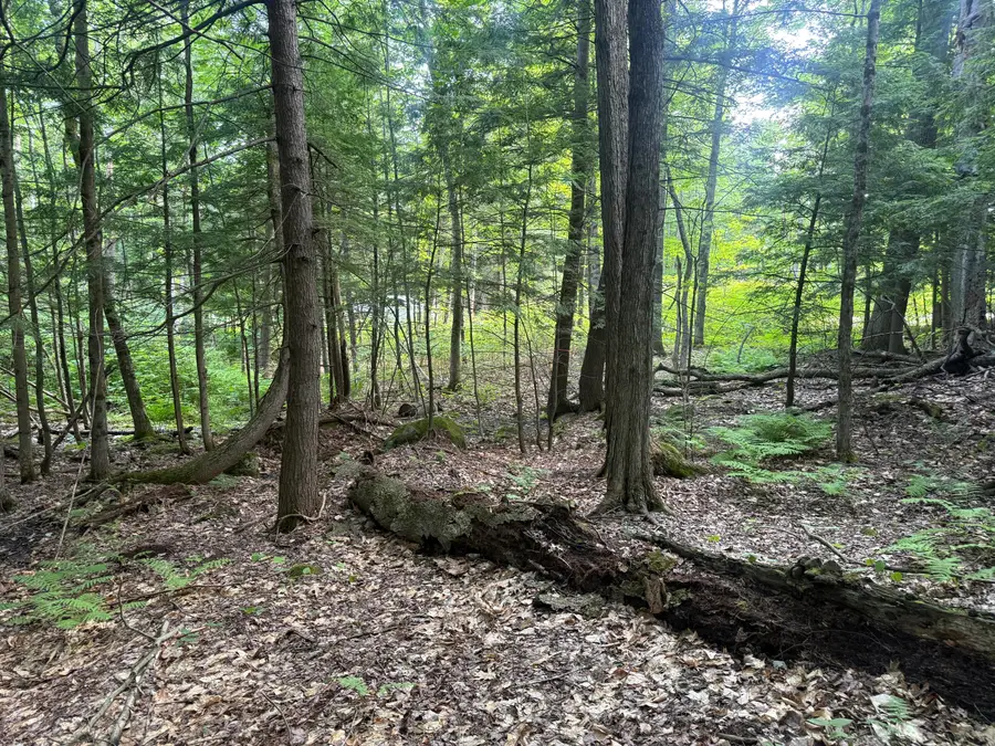 Map 135/23 Burgess Hill Road, Rumford, ME 04276 - #3
