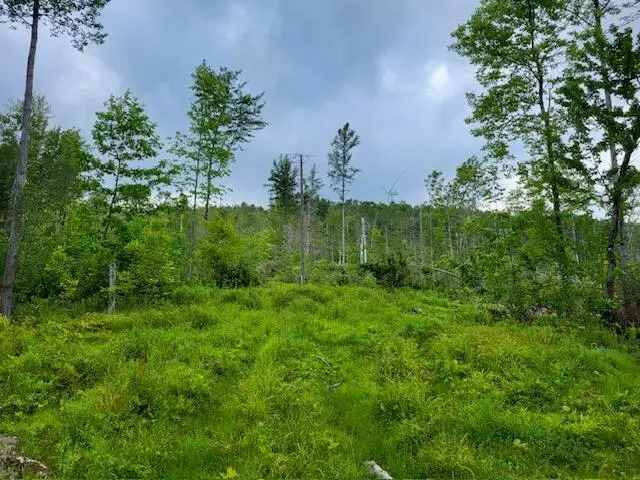 Lot 7 Brown Road, Oakfield, ME 04763 - #1