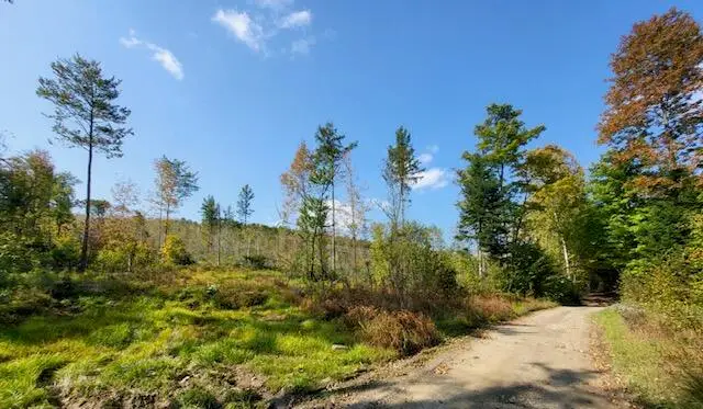Lot 7 Brown Road, Oakfield, ME 04763 - #3