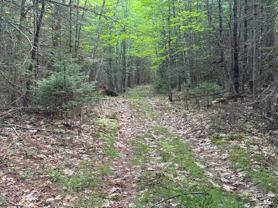 Map67Lot5 Morrill Road, China, ME 04358 - #3