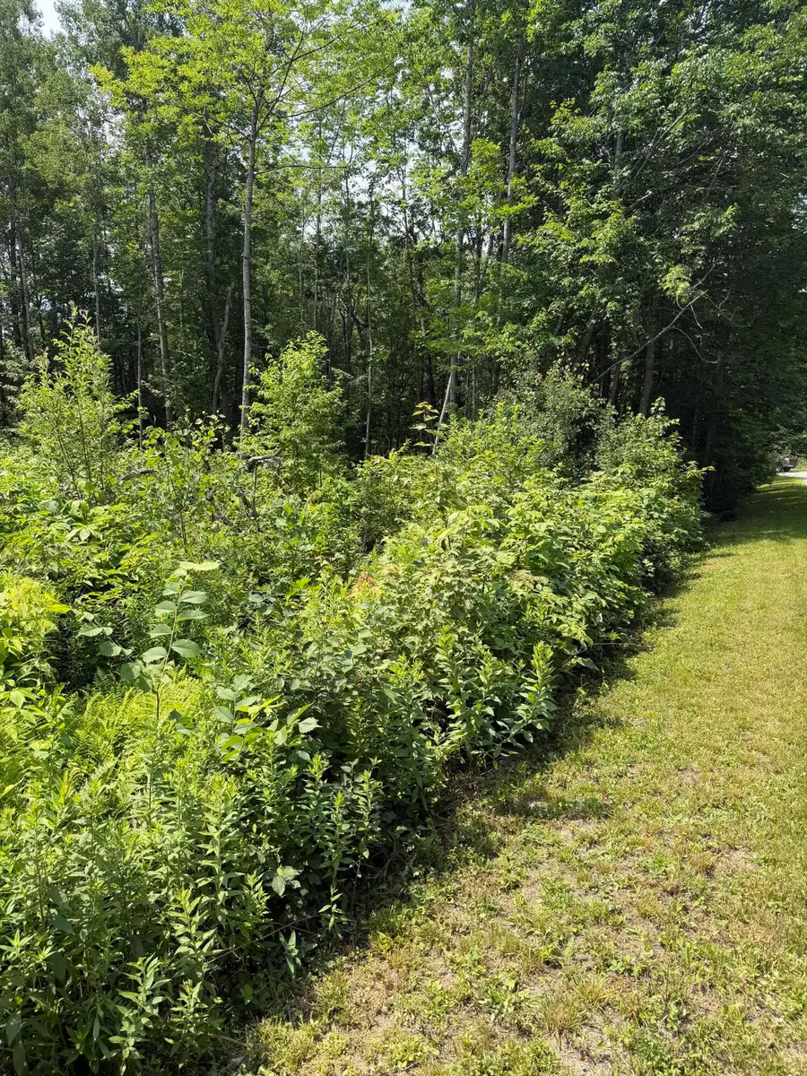 M6L23-4 Pinewood Drive, Corinth, ME 04427 - #2