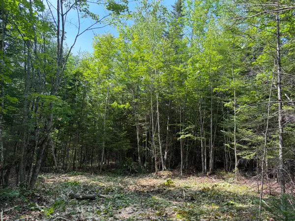 Lot 5 Holley Road, Farmington, ME 04938