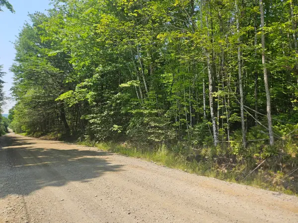 Lot 5 North Merrill Road, Harmony, ME 04942