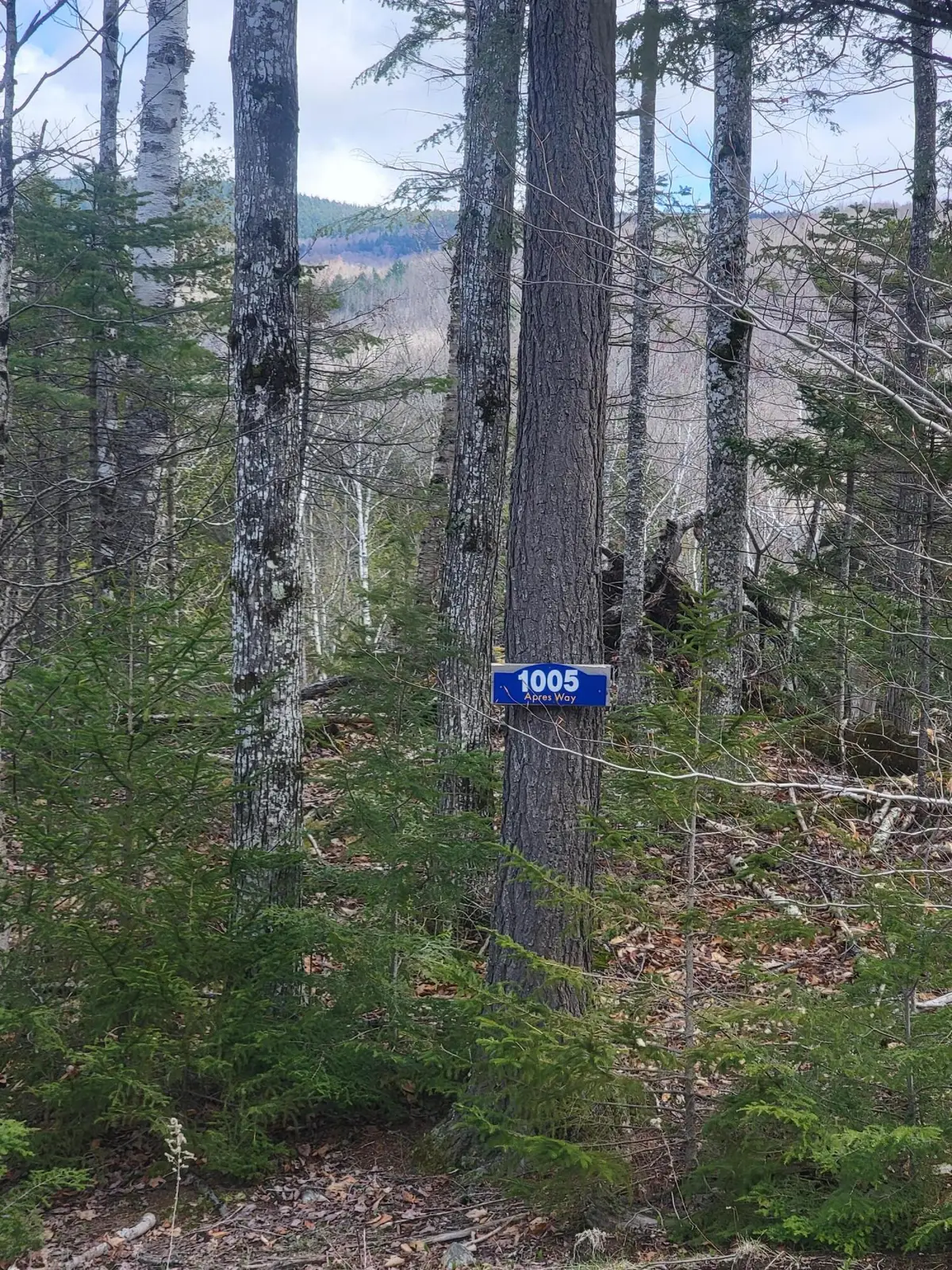 1005 Apres Way, Carrabassett Valley, ME 04947 - #1