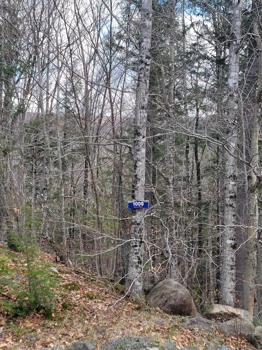 1009 Apres Way, Carrabassett Valley, ME 04947 - #3