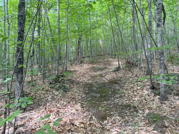 TBD Map Fr 028 Plan 01 Lot 19, Washington Twp, ME 04294