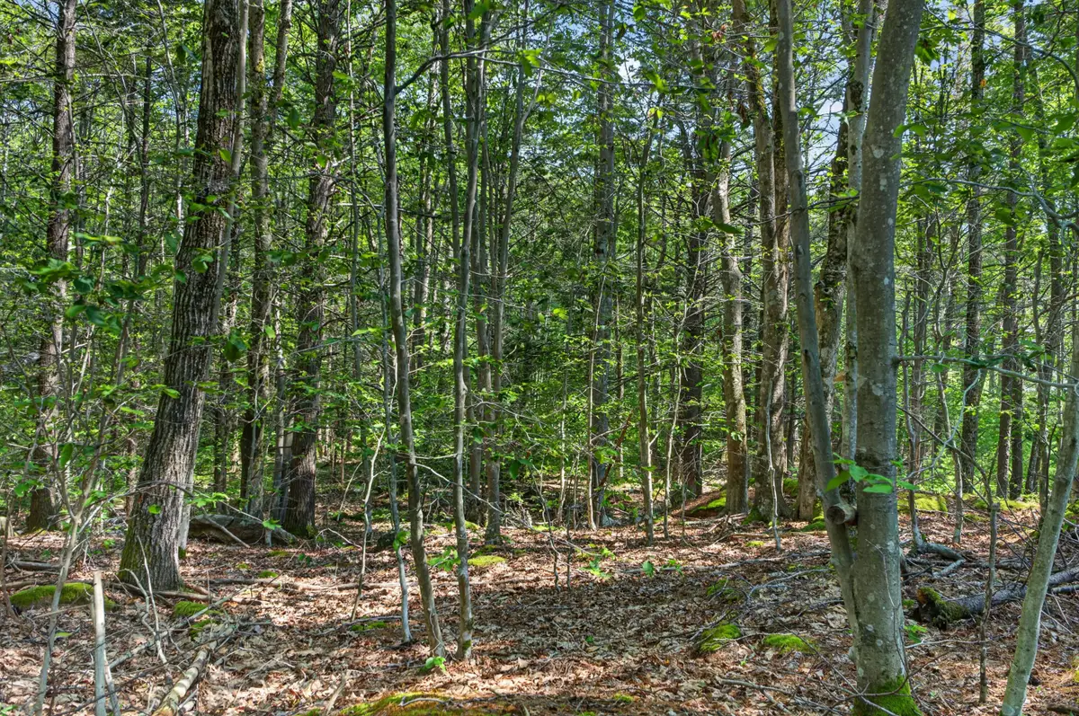 81 Mountain Road #Lot A, York, ME 03902 - #1