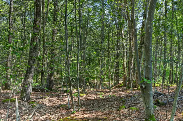 81 Mountain Road #Lot A, York, ME 03902