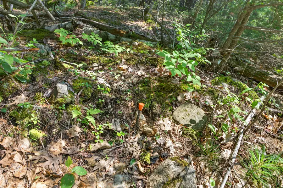 81 Mountain Road #Lot A, York, ME 03902 - #3