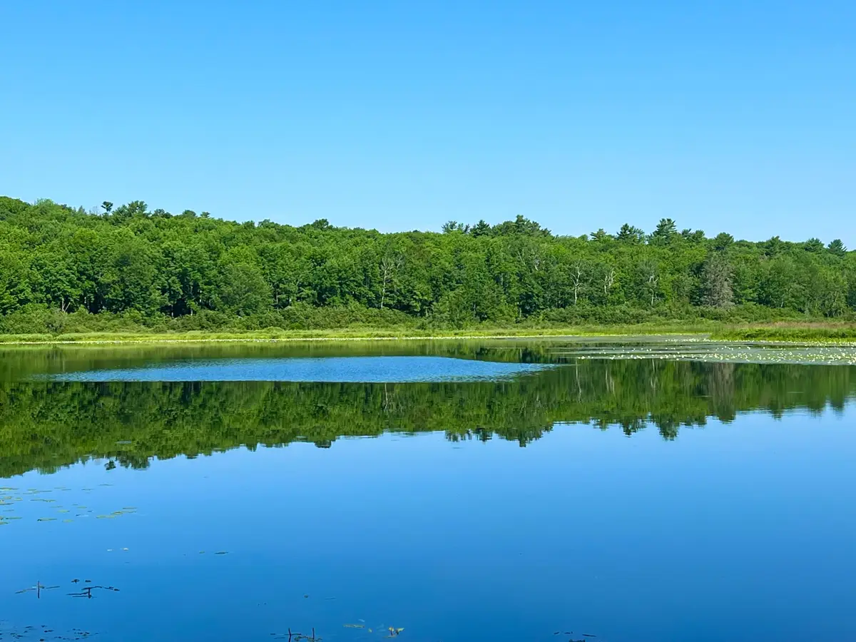 00LowerFal Lower Falls Road, Orland, ME 04472 - #1