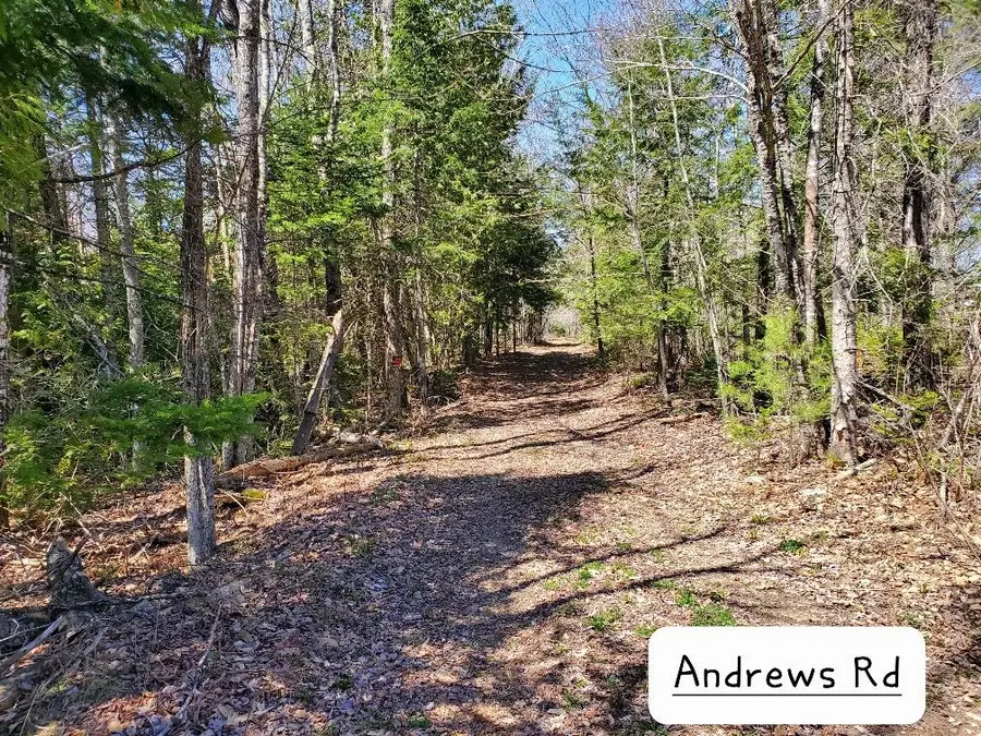 135 Andrews Road, Corinth, ME 04427 - #3