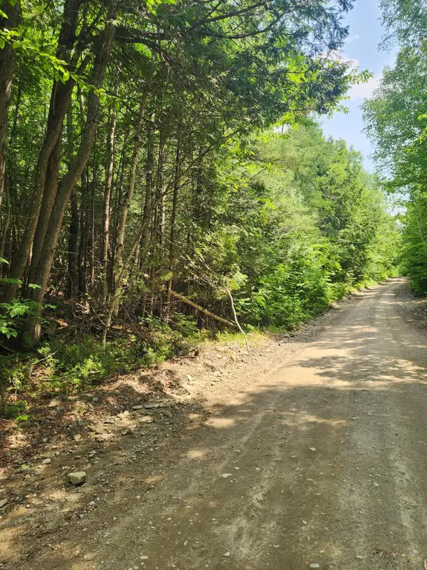 Lot #44 Mill Hill Road, Springfield, ME 04487
