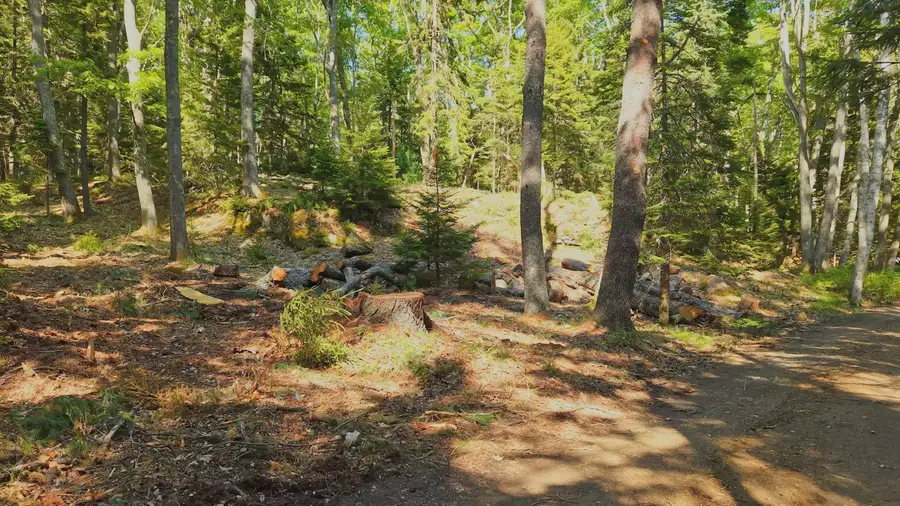 1-A Winnegance Lane, West Bath, ME 04530 - #2