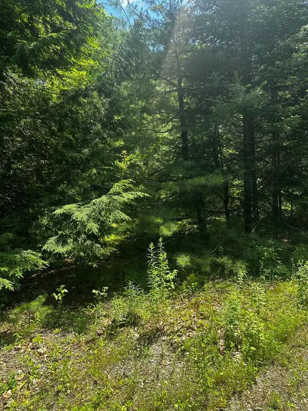 25 Cottage Lane, Orland, ME 04472