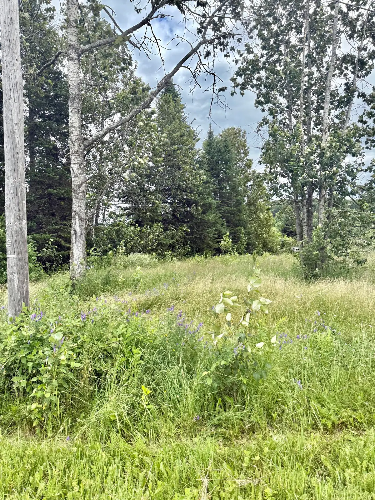 M4 L8 Conroy Road, Perham, ME 04766 - #1