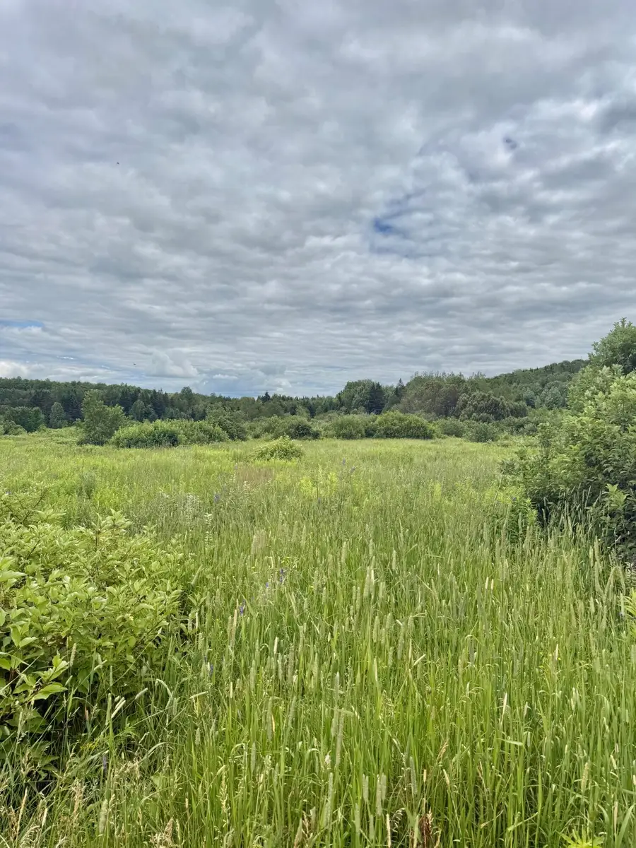 M4 L8 Conroy Road, Perham, ME 04766 - #2