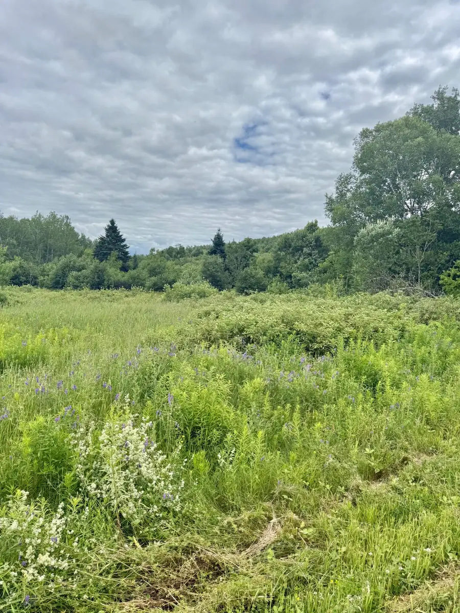 M4 L8 Conroy Road, Perham, ME 04766 - #3
