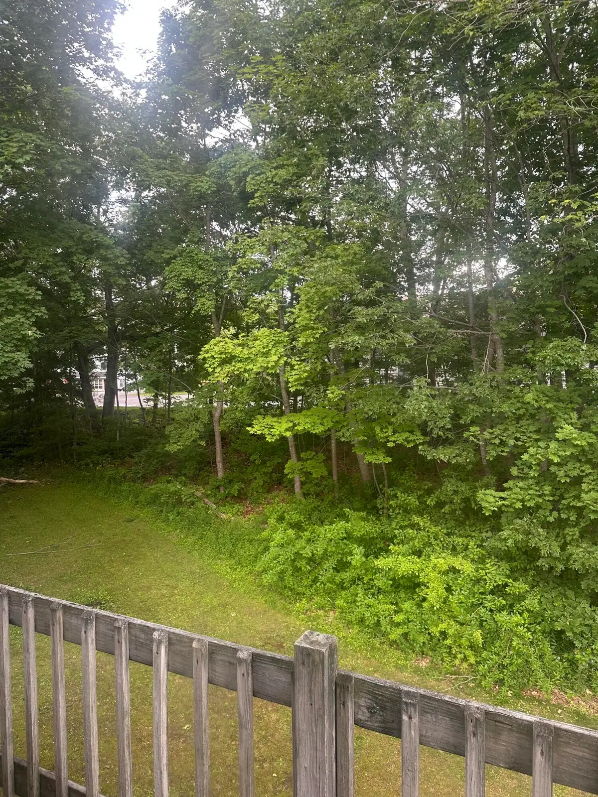 8 Lupine Lane #8, Bath, ME 04530 - #1