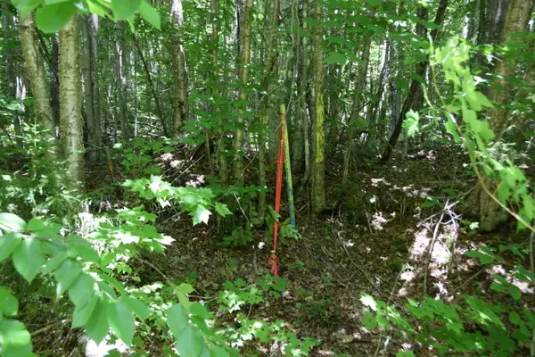 MSO3 L16 Flow Road, Carrying Place Twp, ME 04961