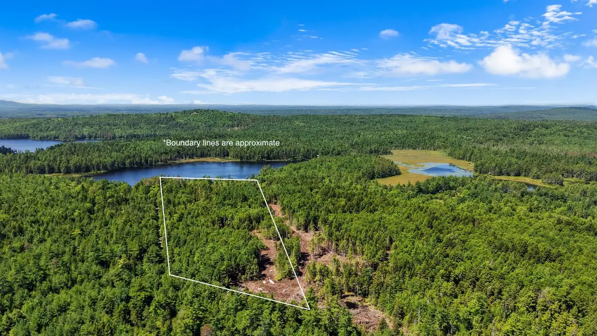 M9 L45-A NE Ne Bluff Lane, Beddington, ME 04622 - #1