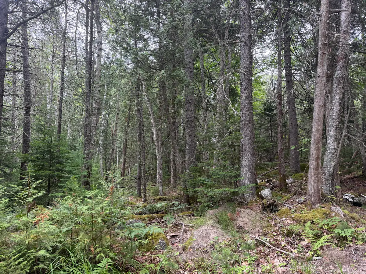 00 Youngs Point Road, Brooksville, ME 04617 - #1