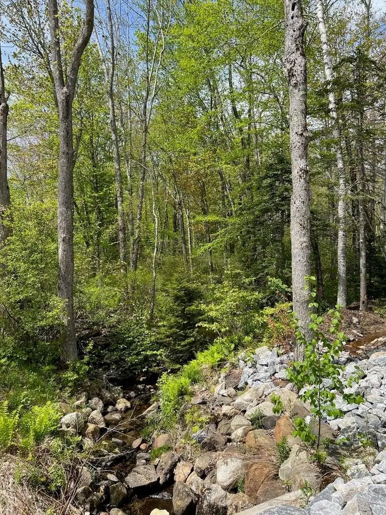 Lot 0 Fairbanks Drive, Rockport, ME 04856 - #3