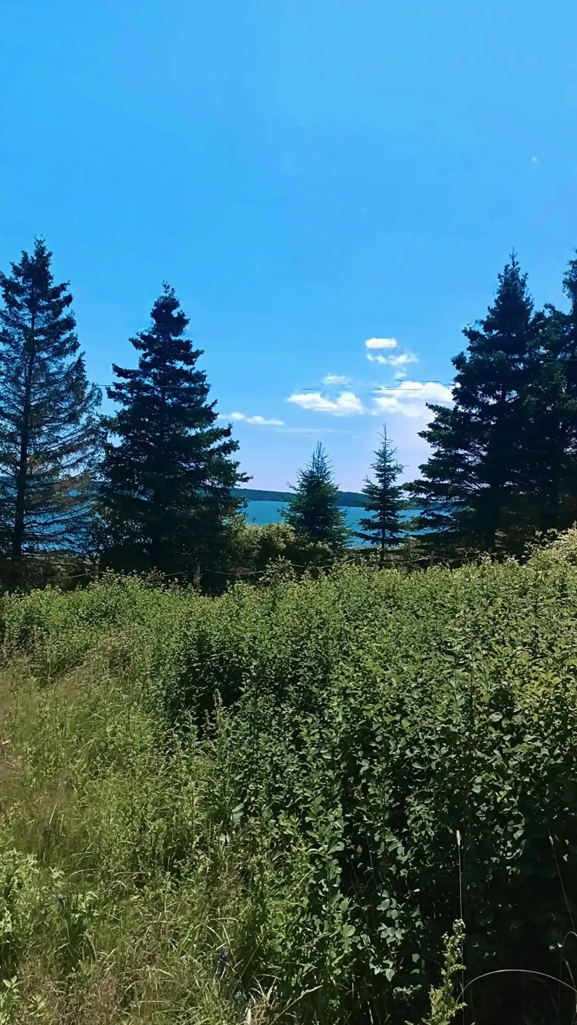 4 Prime Street, Eastport, ME 04631 - #1
