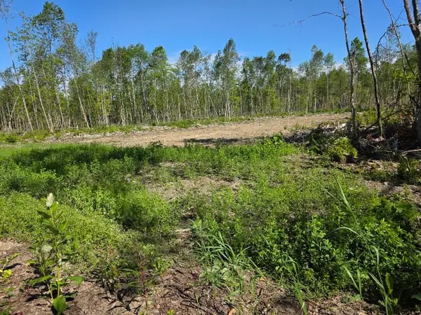 lot 27 Williams Road, Amity, ME 04471