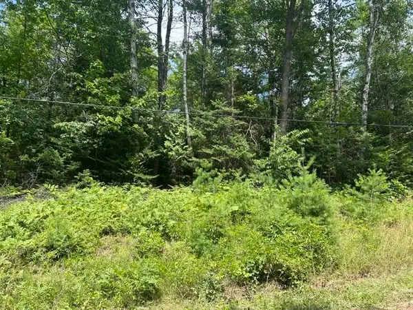 M13L65 Holmes Road, Dover-Foxcroft, ME 04426