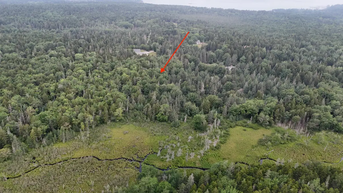 36 Lemoine (map 12 Lot 36) Road, Swans Island, ME 04685 - #1