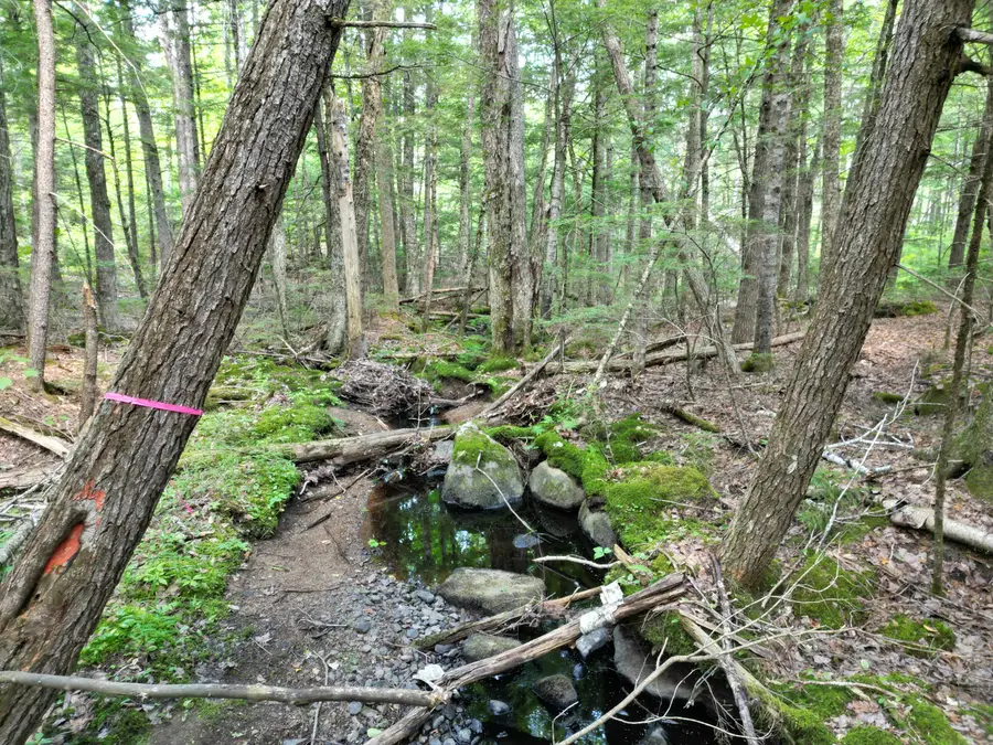 Lot 18-2 Madagascal Pond Road, Burlington, ME 04417 - #3