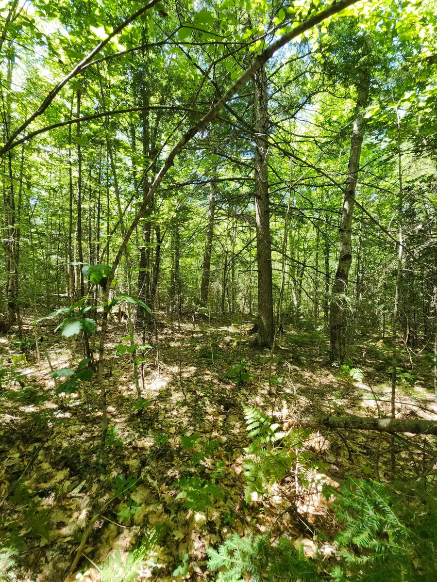 TBD Bridgton Road, Sebago, ME 04029 - #2
