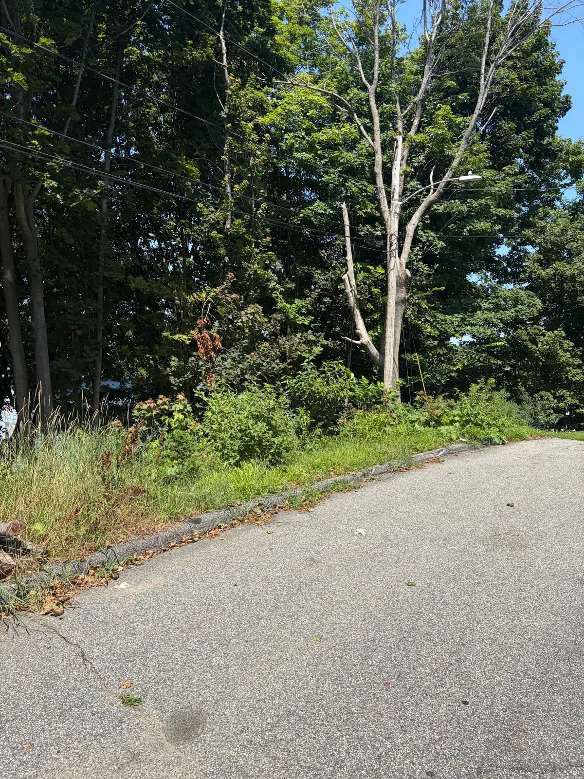 0 Bristol Street, Biddeford, ME 04005 - #1