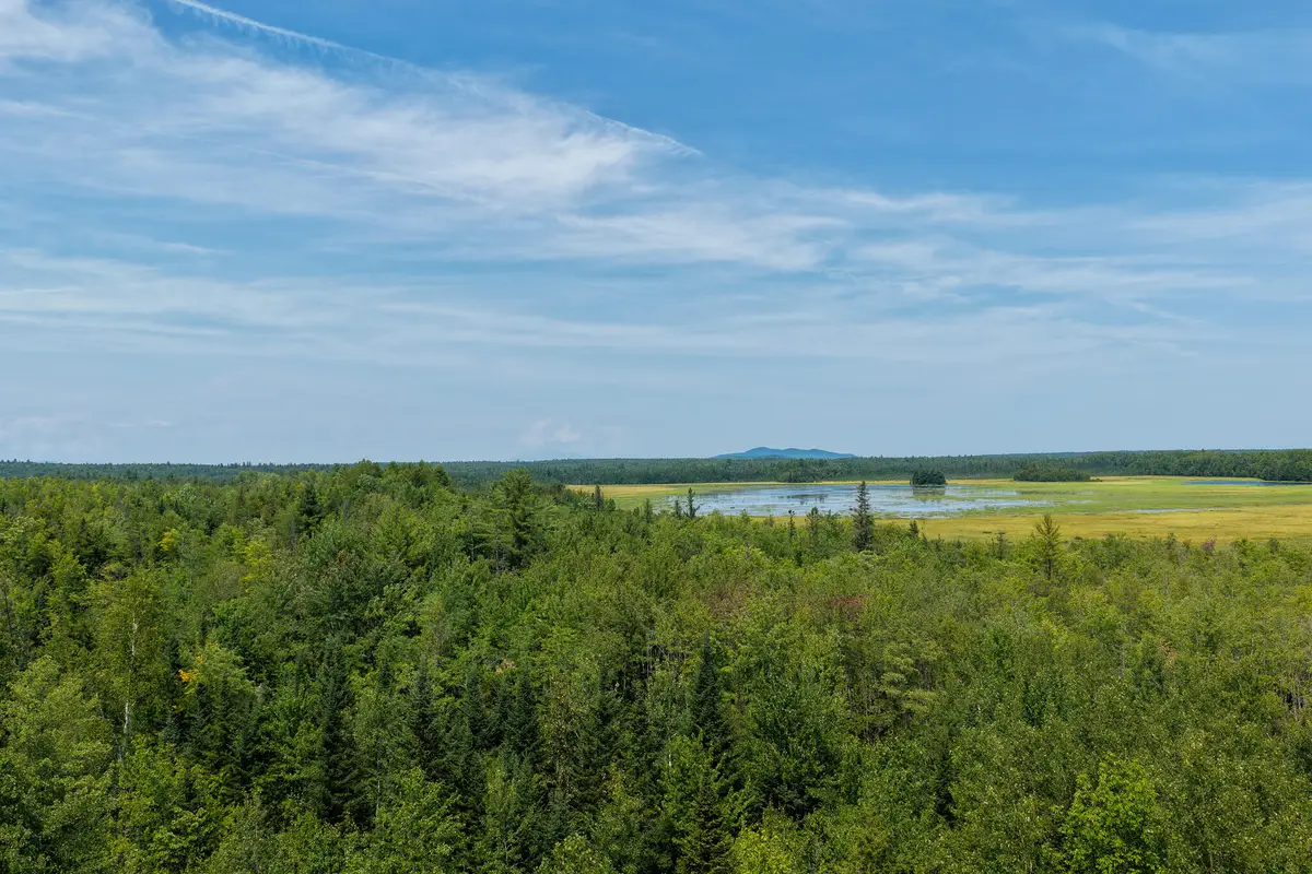 194 Seboeis Road, Howland, ME 04448 - #1