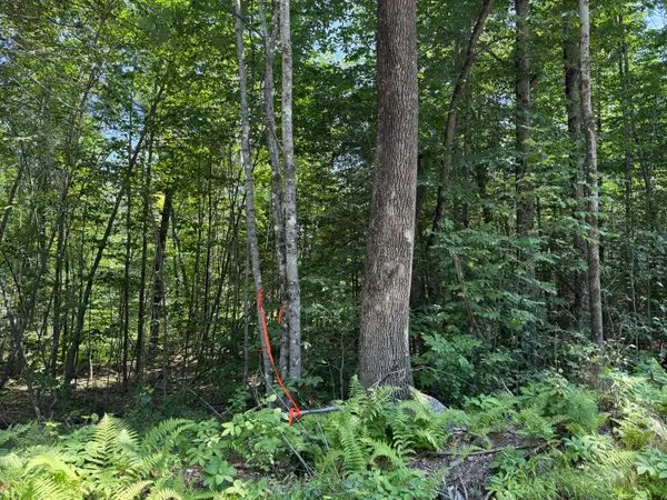 R2 L8-3 Ladd Road, Mercer, ME 04347