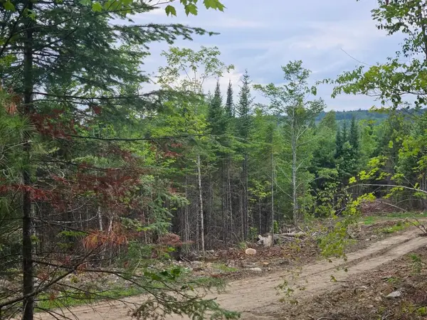 22-03 Rowell Mountain Road, Solon, ME 04979