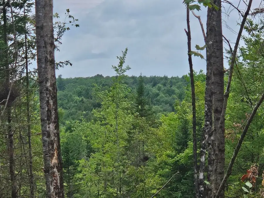 22-03 Rowell Mountain Road, Solon, ME 04979 - #2
