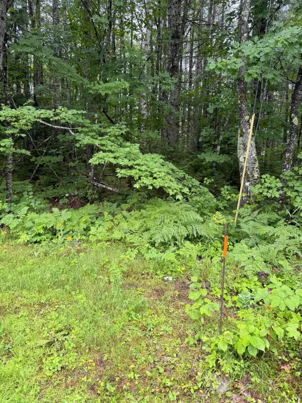 Lot 9B Whites Lane & Marquis Drive, Chesterville, ME 04938