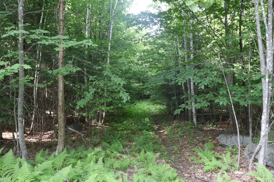 M25 Lot 28 N Green Street, Greenville, ME 04441 - #2