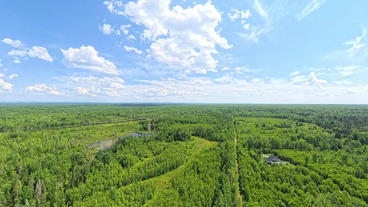 385 Johnson Flat Road, Pittsfield, ME 04967 - #1