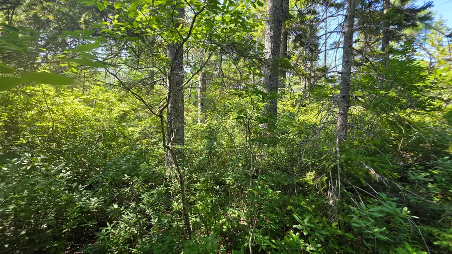 Map 1 Lot 10-2 Patten Rd, Jonesboro, ME 04648 - #3