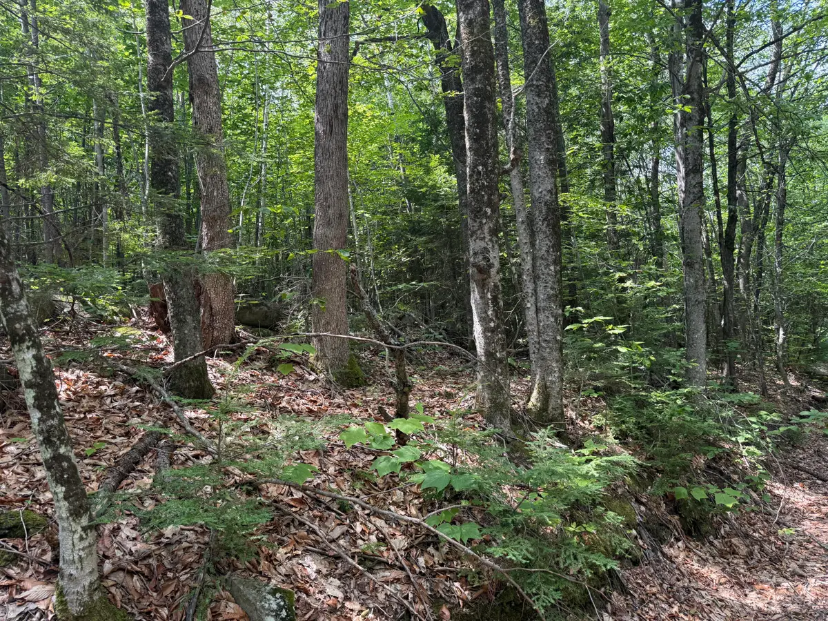 R3 L 2-2 Hampshire Hill Road, Mercer, ME 04957 - #1
