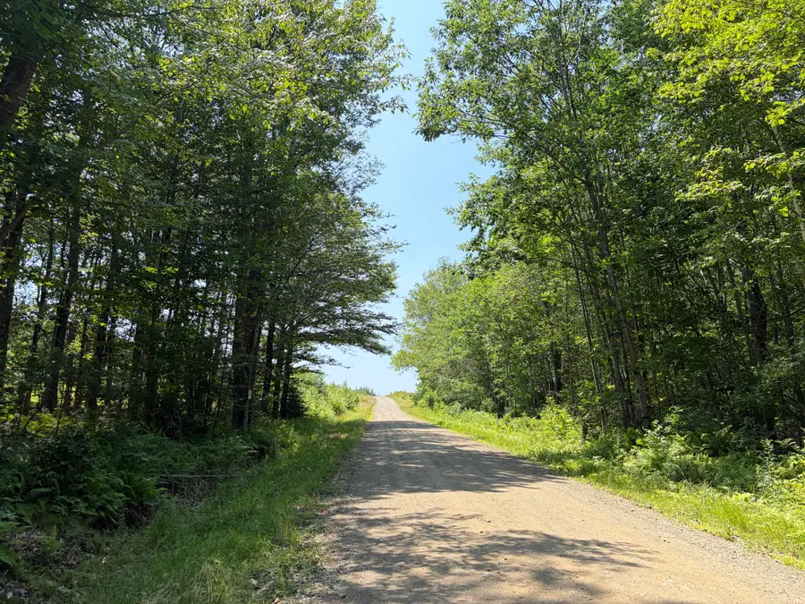 30 acres Belden Woods Road, Palermo, ME 04354 - #2
