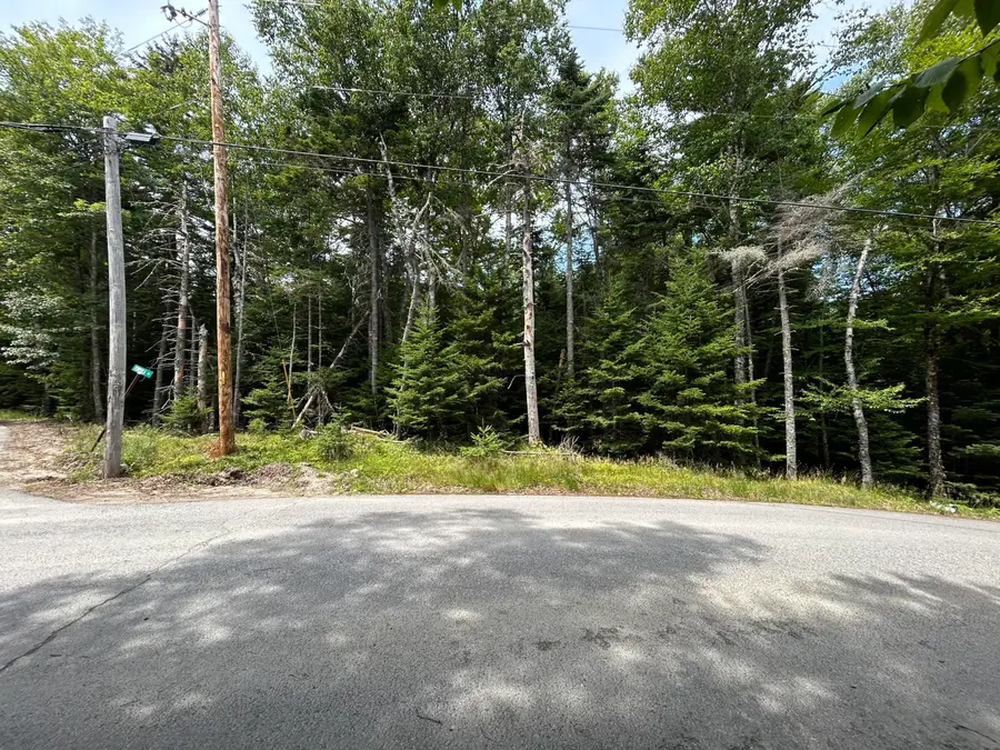 M58, Lot 1 Paul Bunyan Road, Gouldsboro, ME 04607 - #3