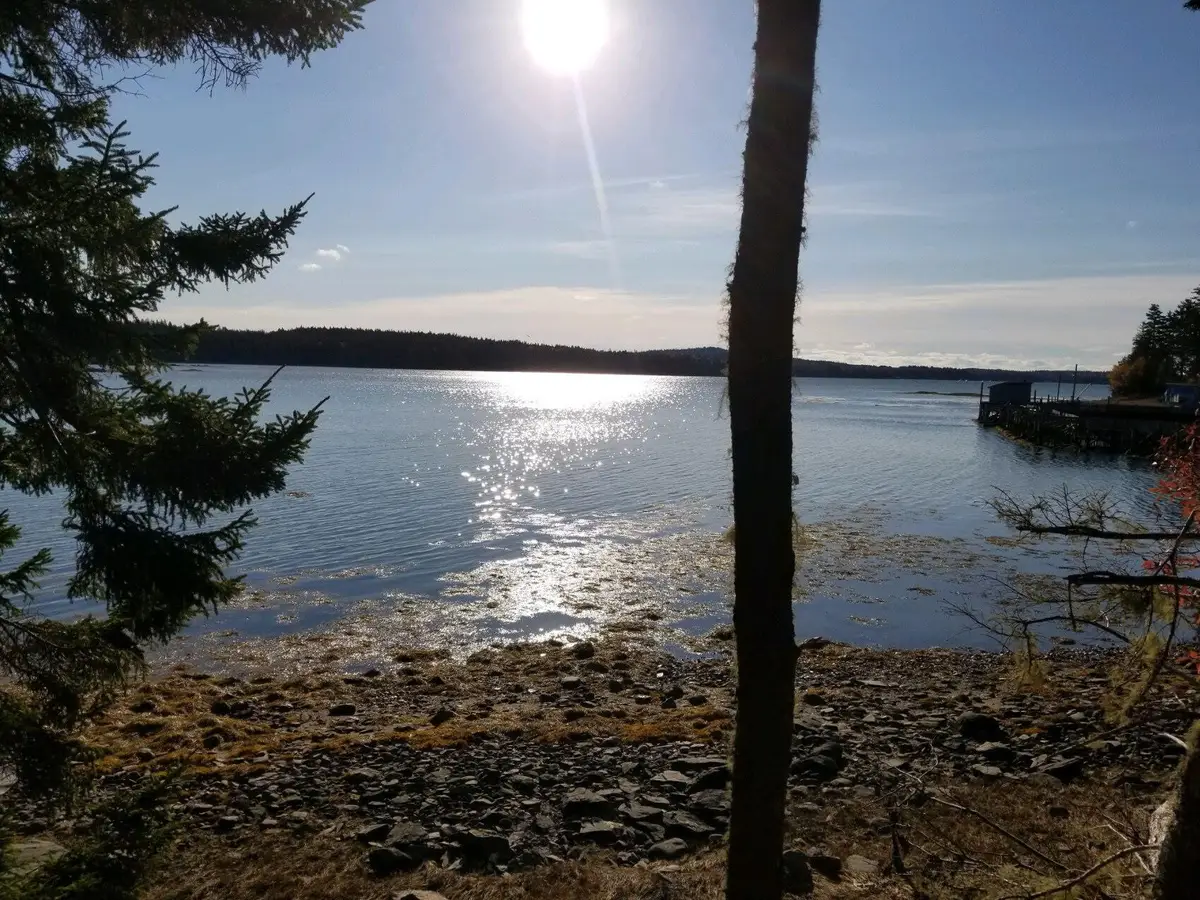 Lot 4 125 Aspen Lane, Steuben, ME 04680 - #1